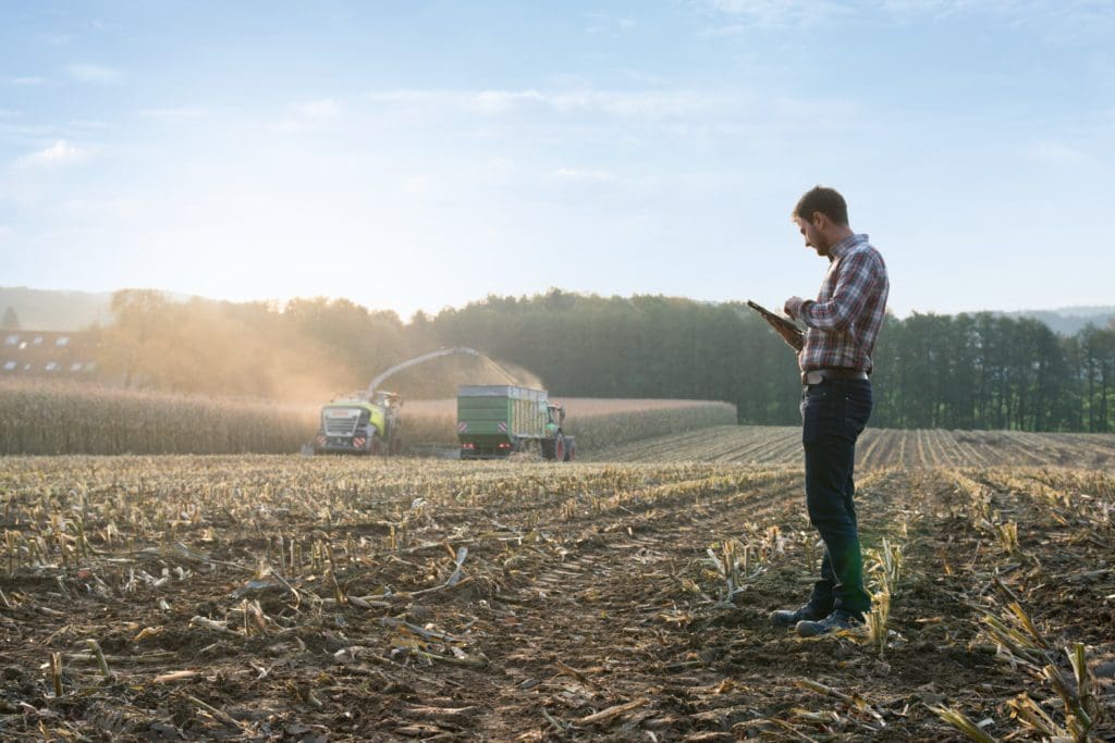 person on their phone looking at harvest snaps