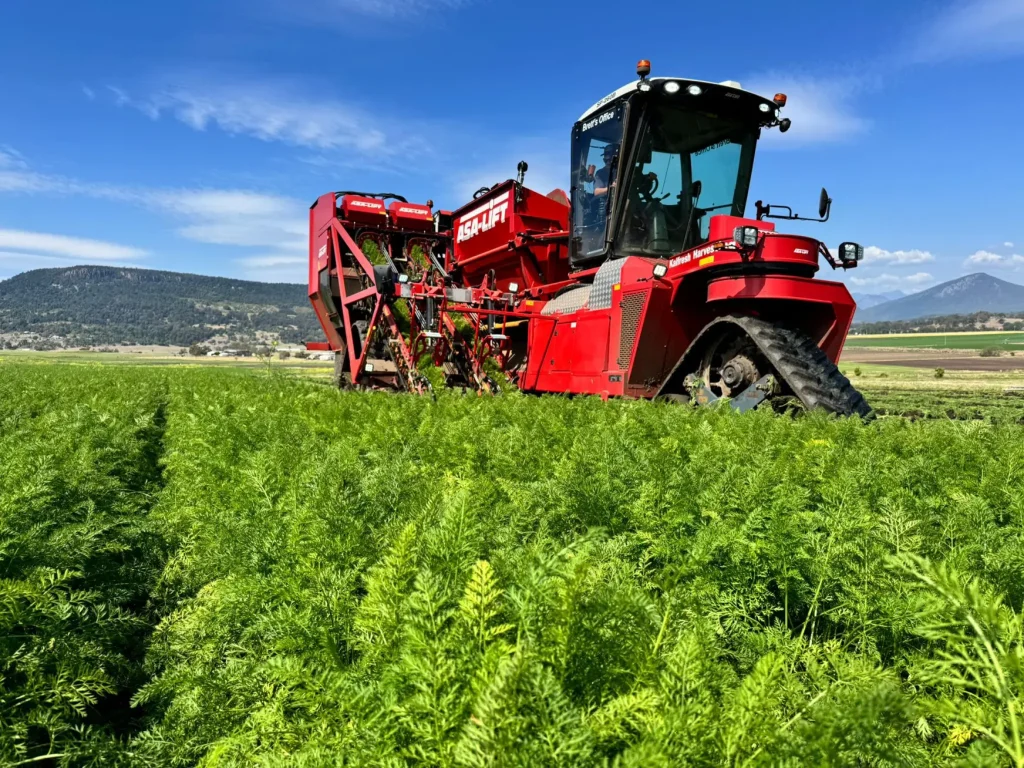 ASA- LIFT vegetable harvester harvesting crops