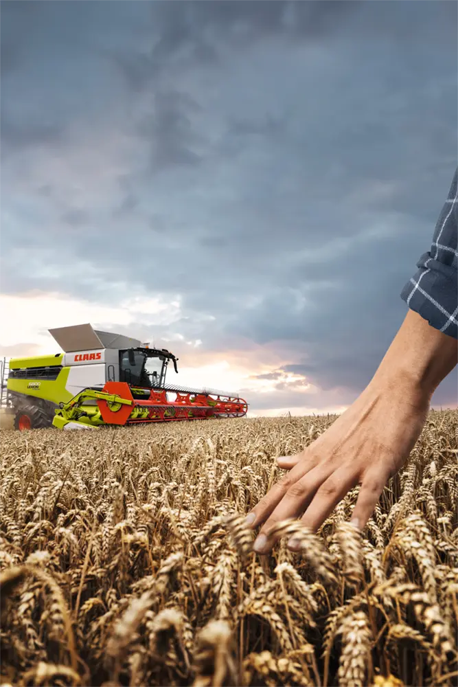 Mans hand in straw with LEXION in background and moody clouds